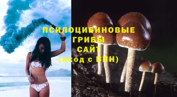 гашиш Пролетарск