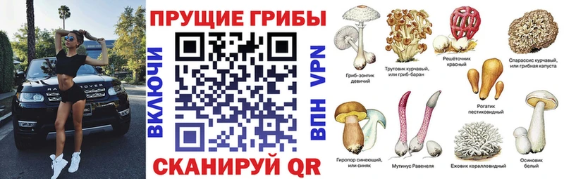 Галлюциногенные грибы Magic Shrooms  Купить где  Иноземцево 